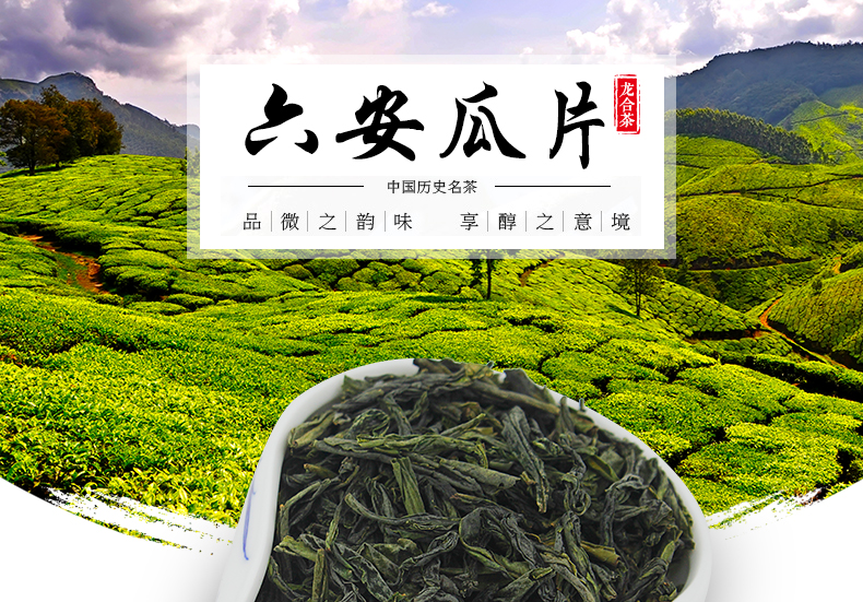 龙合 新茶春茶安徽原产一级六安瓜片精品绿茶50g袋装【纸袋随机】