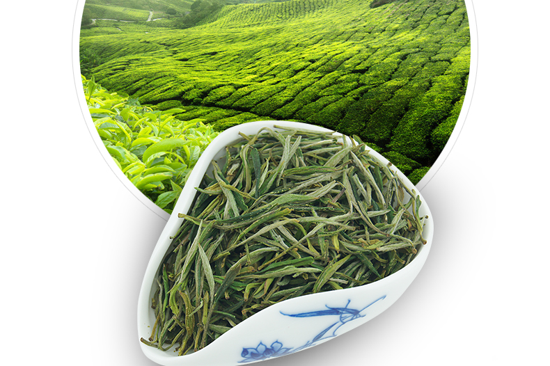 龙合新茶春茶一级安徽原产黄山毛峰50g袋装绿茶雨前茶叶【纸袋随机】