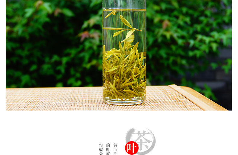 龙合 新茶春茶特级原产正宗安徽黄山毛峰绿茶正宗徽茶250g罐装茶叶