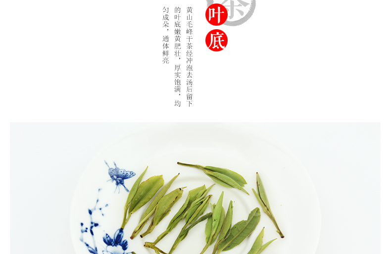 龙合 新茶春茶上市原产地正宗徽茶特级黄山毛峰国礼茶100g罐装茶叶