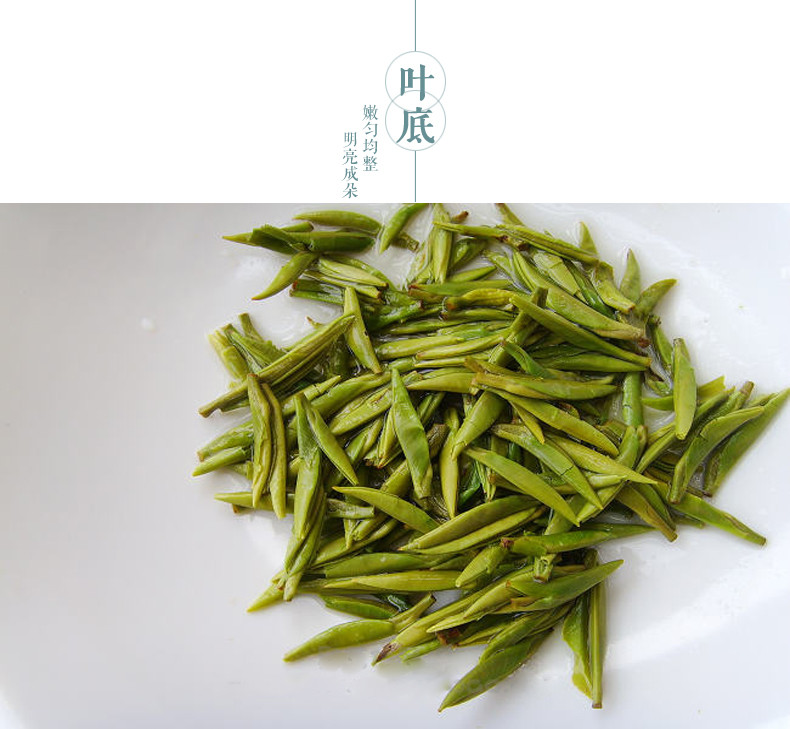 国书天香 雀舌50g 绿茶叶明前翠柏 南山寿眉