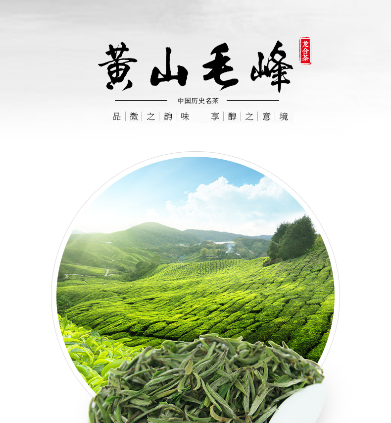 龙合 新茶明前春茶安徽特级黄山毛峰雀舌绿茶250g精品礼盒装茶叶