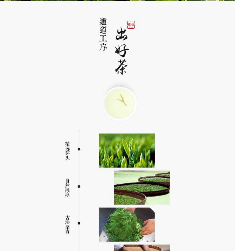 富硒茶寻仙手工毛尖特级明前茶 60g礼盒装送礼