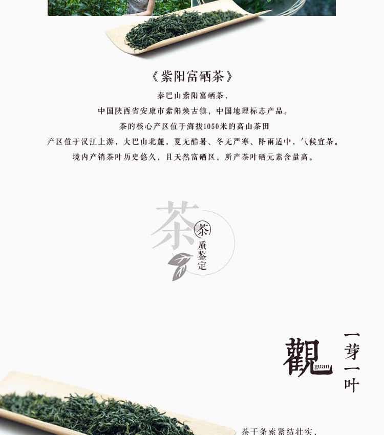 秦巴山紫阳富硒绿茶一级100g/袋