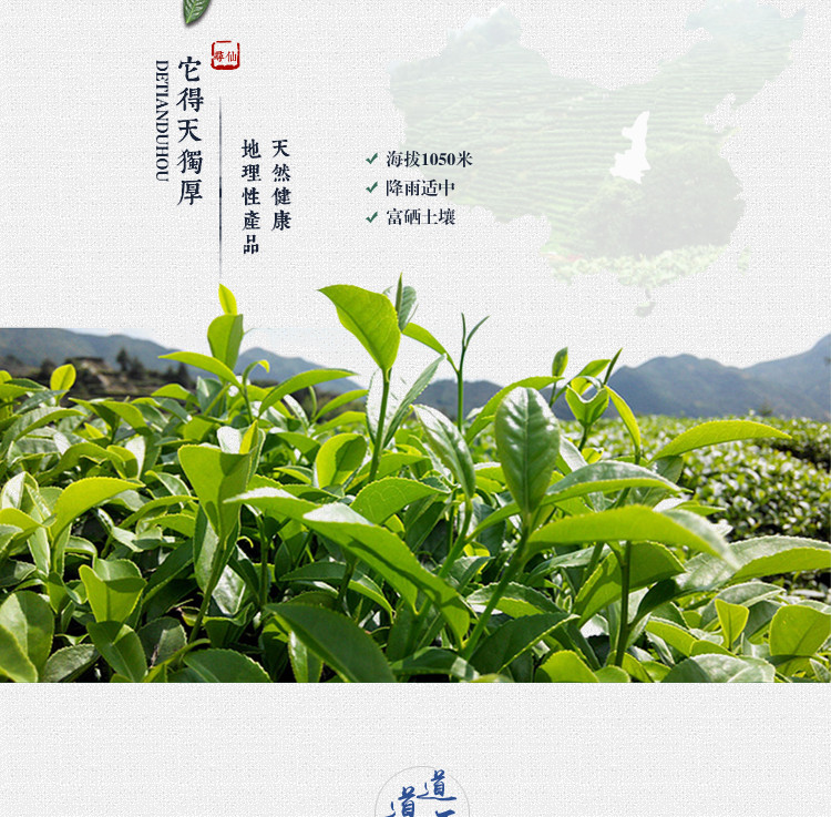 秦巴山紫阳富硒茶绿茶特级32g×4盒/条