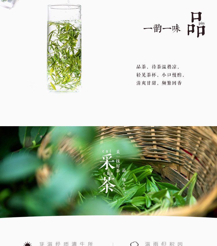 秦巴山紫阳富硒绿茶一级100g/袋