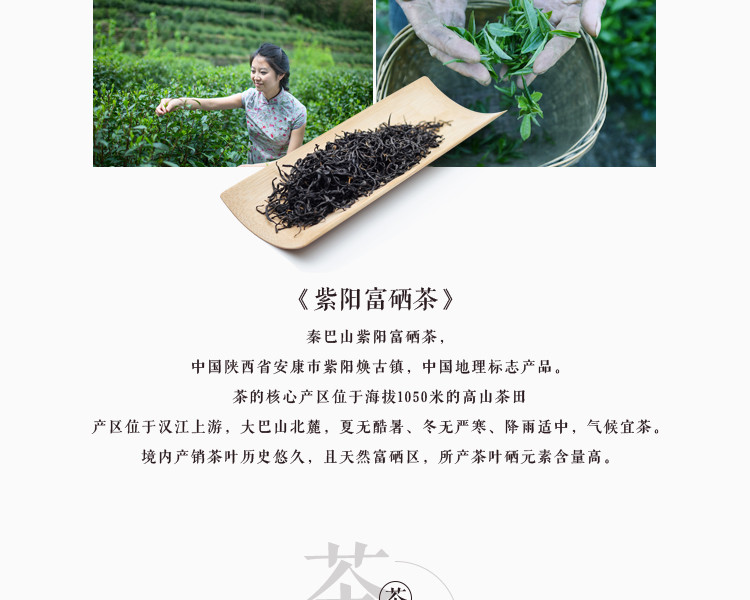 秦巴山 富硒红茶二级 100g/袋