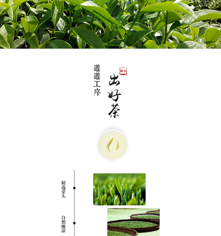 秦巴山富硒茶 出云 明前贡芽特级 50g×2罐