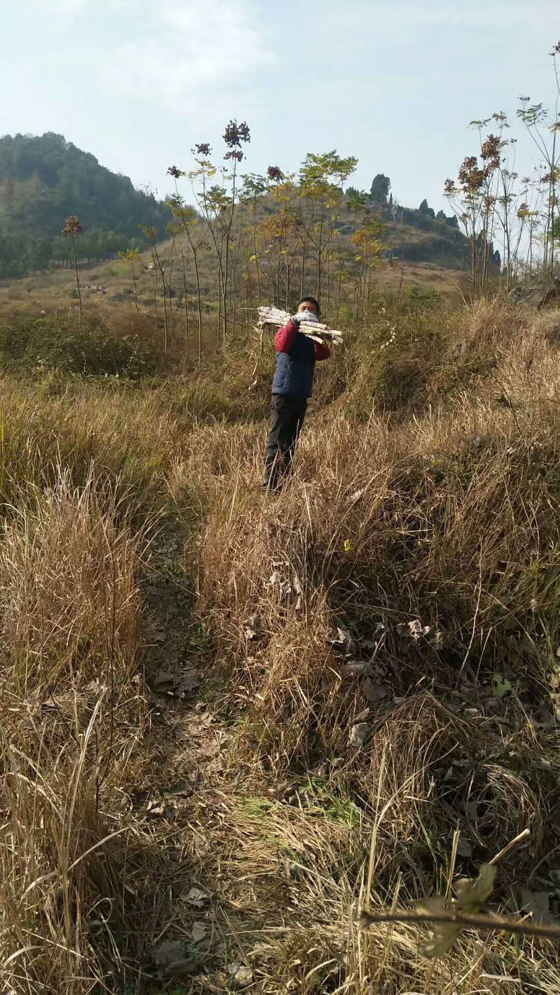 【武冈双牌扶贫项目】武冈双牌本土手工甘蔗红糖（简装）