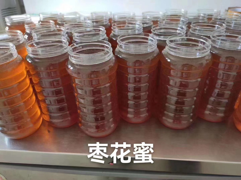 农家自产 山东宁阳枣花蜜500g*2瓶