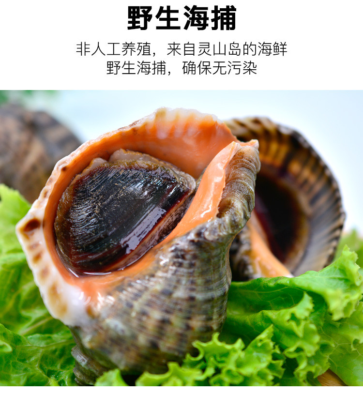 【威海馆】威海鲜活深海小海螺 每斤10个左右 肉肥鲜美 500g（部分省份包邮）