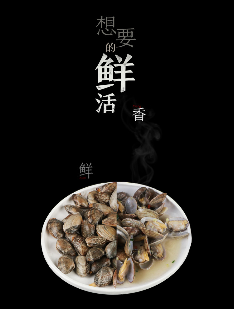 【威海馆】本地野生花蛤花甲鲜活 无沙 肉质饱满鲜美 500g（部分省份包邮）