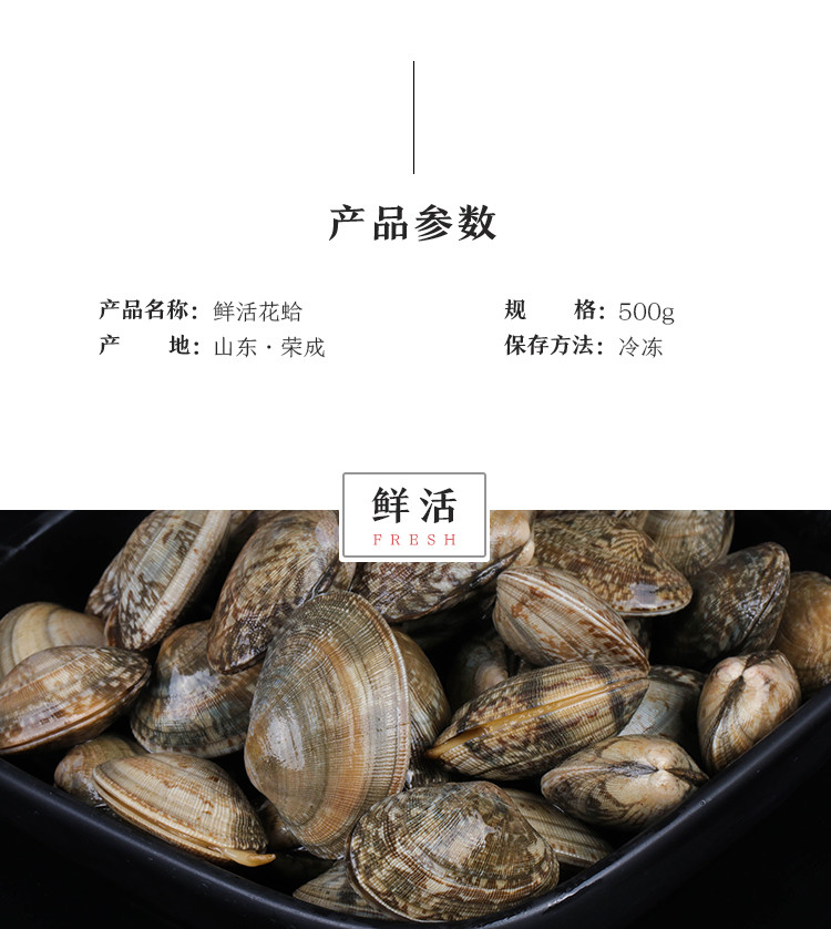 【威海馆】本地野生花蛤花甲鲜活 无沙 肉质饱满鲜美 500g（部分省份包邮）