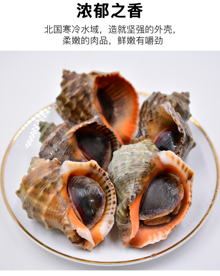 【威海馆】威海鲜活深海小海螺 每斤10个左右 肉肥鲜美 500g（部分省份包邮）