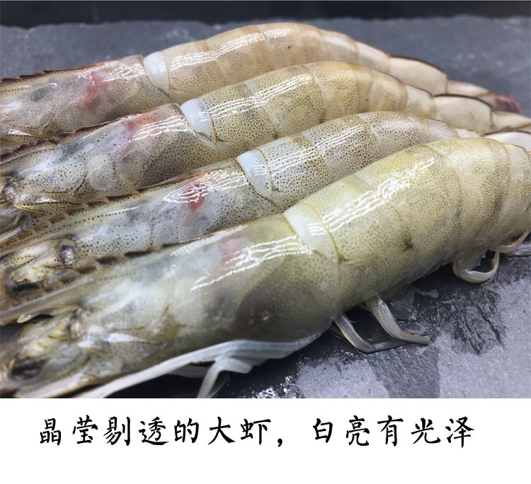 【威海馆】本地海捕大虾 鲜活水产 冷冻发货 新鲜对虾 500g（部分省份包邮）