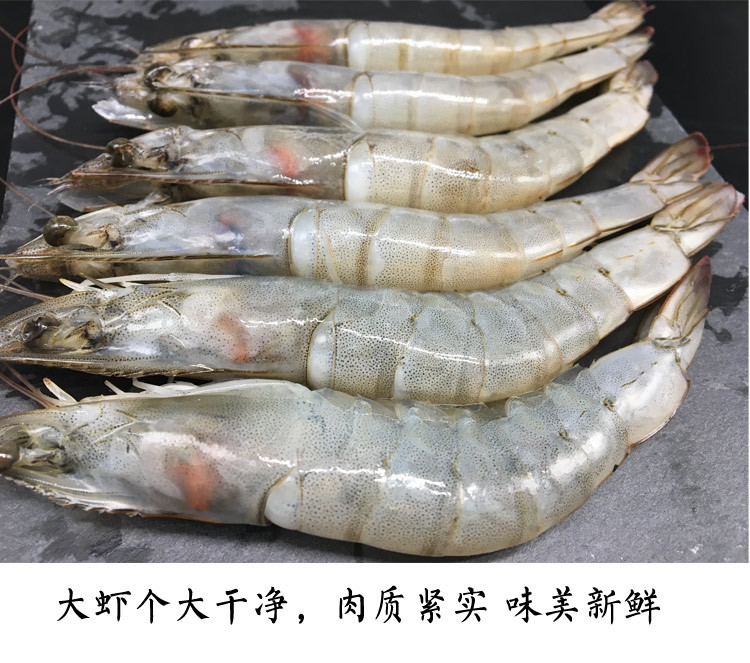 【威海馆】本地海捕大虾 鲜活水产 冷冻发货 新鲜对虾 500g（部分省份包邮）