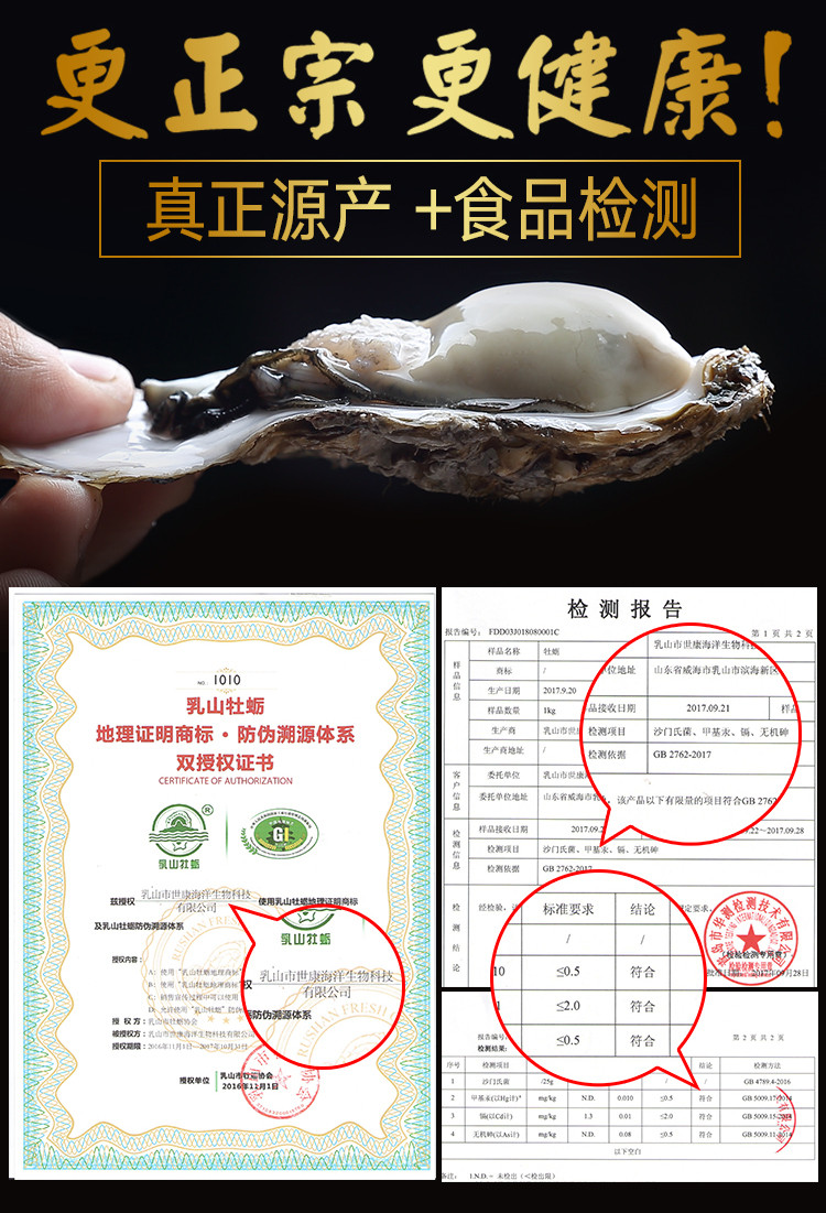 【威海馆】鲜活正宗乳山新鲜生蚝海蛎子 肉肥味美单只70-90g 5斤（部分省份包邮）