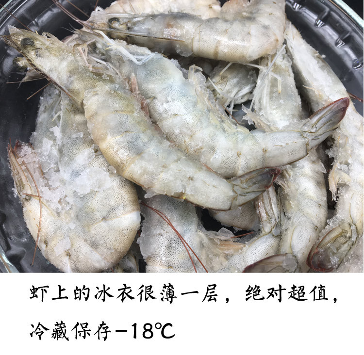 【威海馆】本地海捕大虾 鲜活水产 冷冻发货 新鲜对虾 500g（部分省份包邮）