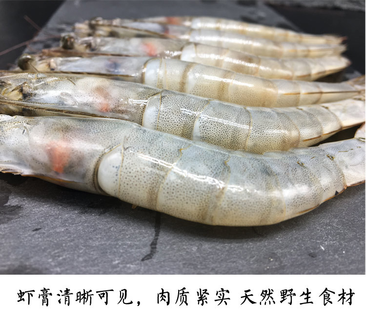 【威海馆】本地海捕大虾 鲜活水产 冷冻发货 新鲜对虾 500g（部分省份包邮）