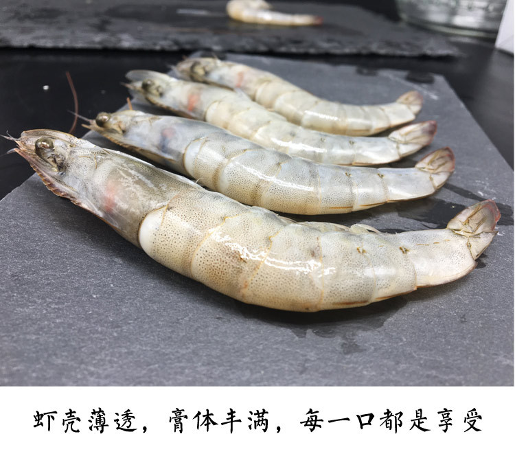 【威海馆】本地海捕大虾 鲜活水产 冷冻发货 新鲜对虾 500g（部分省份包邮）