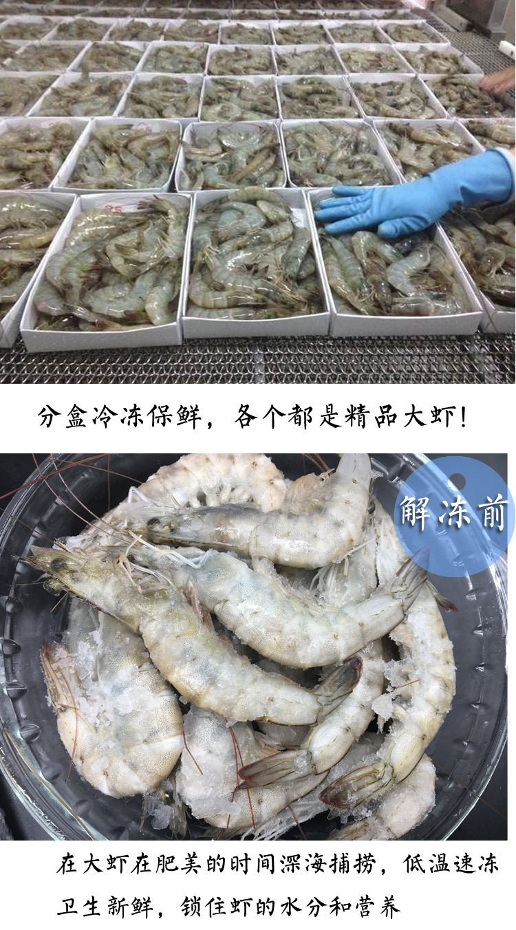 【威海馆】本地海捕大虾 鲜活水产 冷冻发货 新鲜对虾 500g（部分省份包邮）
