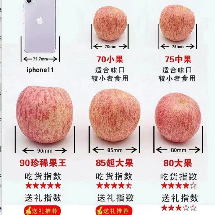 农家自产  山东沂源红红富士苹果75#-80#脆甜多汁带箱5斤