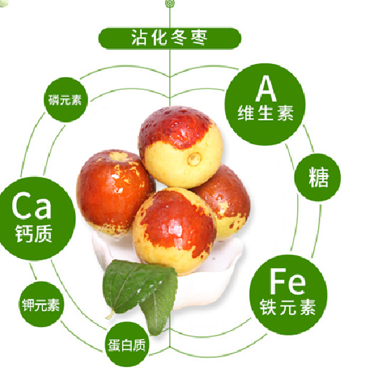 【邮政助农】沾化冬枣5斤装  新鲜脆甜，现摘现发