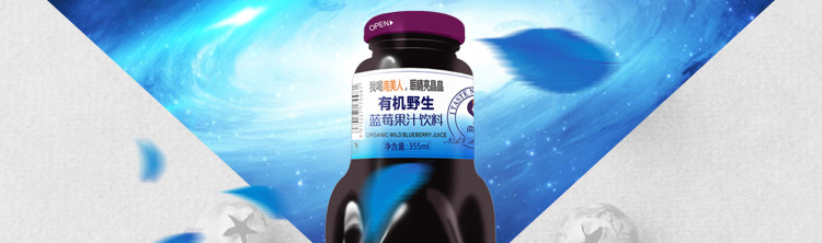 【十堰·丹江口】武当南美人355ML有机野生蓝莓饮料
