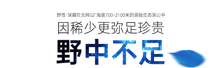 【十堰·丹江口】武当南美人355ML有机野生蓝莓饮料