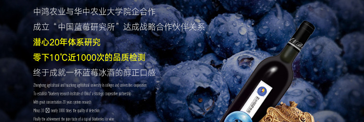【十堰·丹江口】武当南美人野生蓝莓冰酒