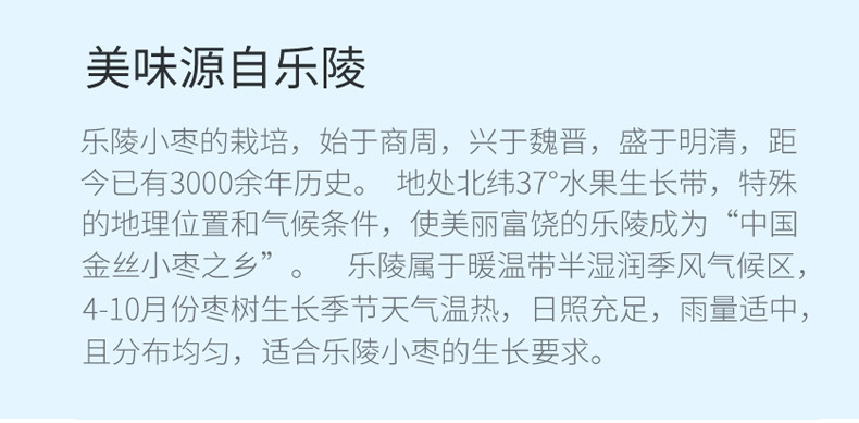 【券后49.9元】 佳林院 山东特产 金丝小枣1.5kg 休闲零食礼盒装 煮粥煲汤泡茶红枣 馈赠枣礼