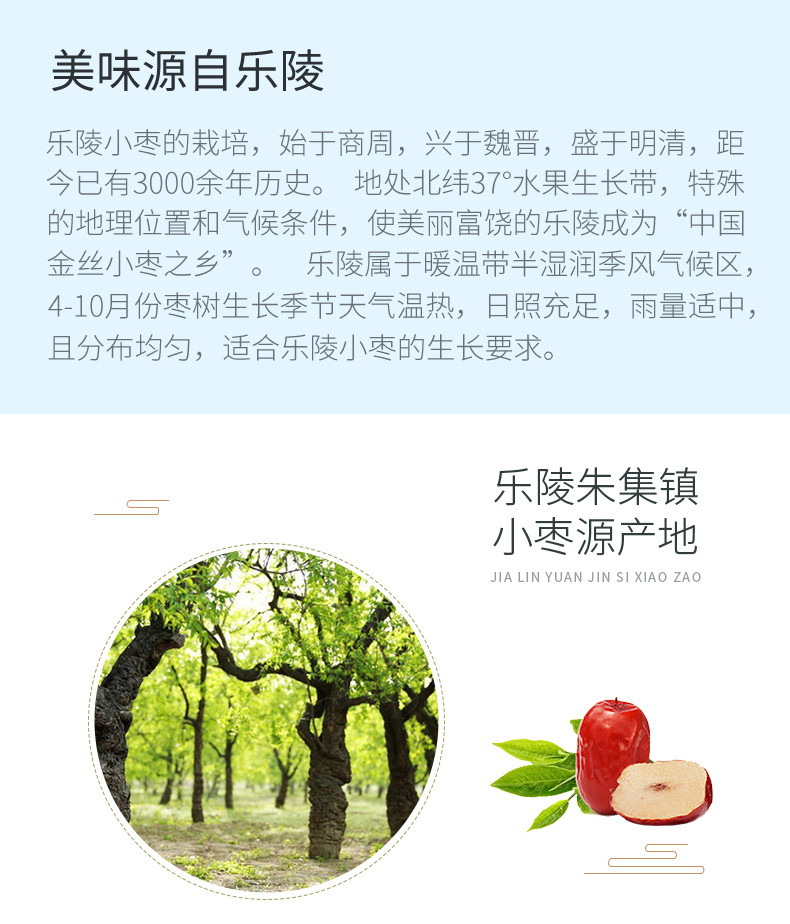 佳林院  （JIA LIN YUAN） 乐陵金丝小枣1.16千克 一等质量 馈赠枣礼 山东特产