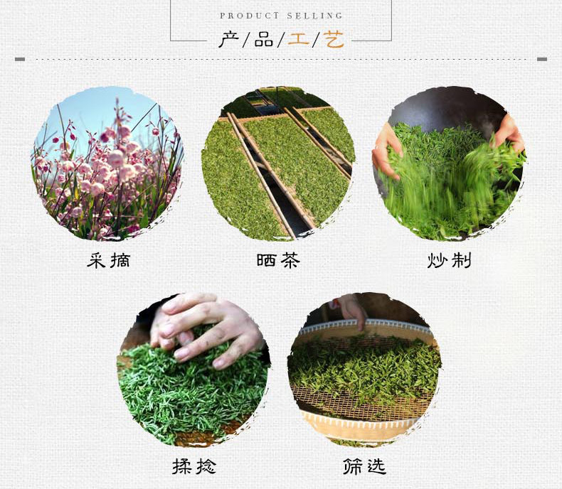 奎山公社 罗布 麻茶