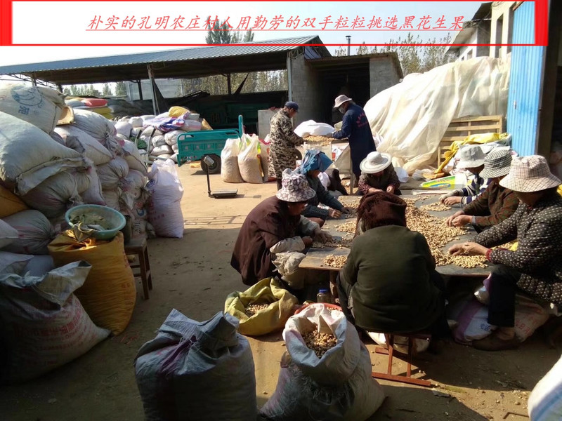 2019新季花生临沂馆沂南孔明农庄带壳生黑花生果5斤装