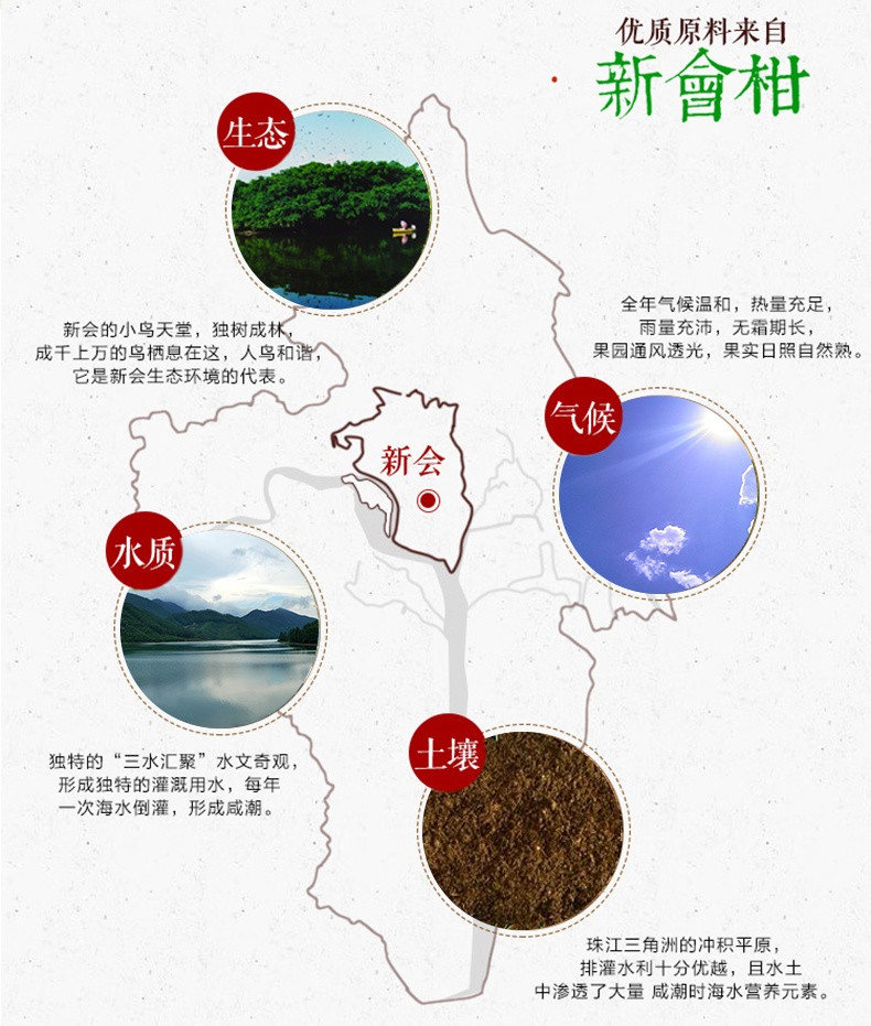 高原茗株 新会小青柑一套500g共2罐