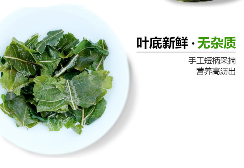 高原茗株 古法桑叶绿茶 精选新鲜冬霜桑叶250g  买2送1