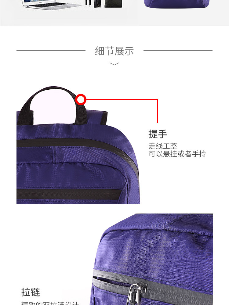 【联通】德世朗/DESLON 外交官DFJ-801便携式背包   (颜色随机）