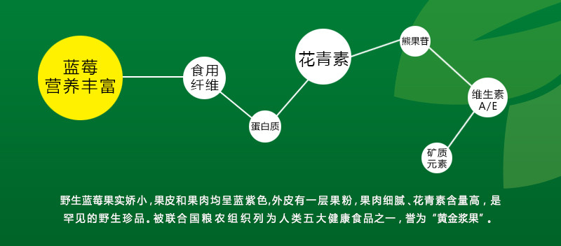 【黑龙江省黑河市北安市】蓝立方野生蓝莓果片200克厂庆限时促销 本地包邮 东北农