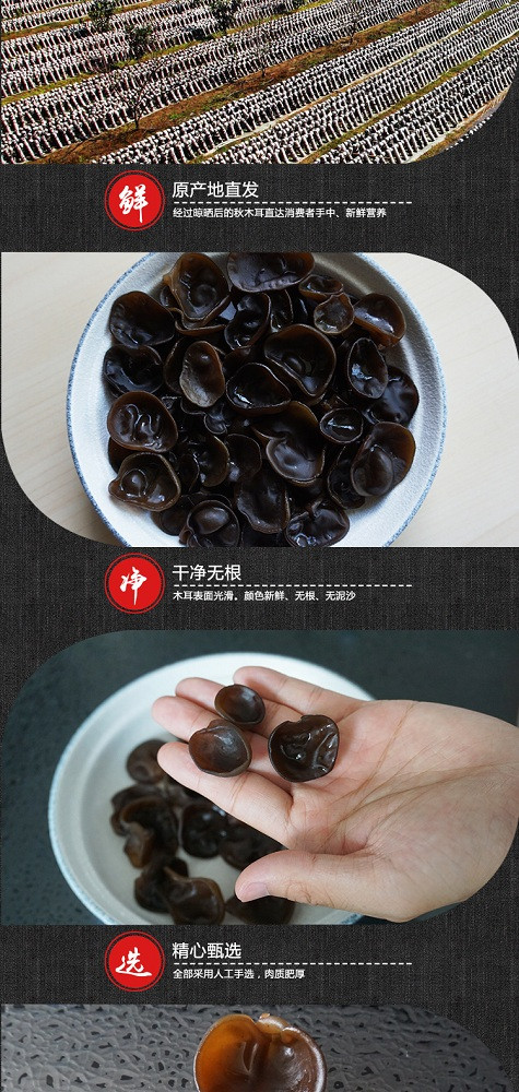 【东北特产】【逊克】清義  黑木耳500g  包邮（新疆、西藏、青海）除外