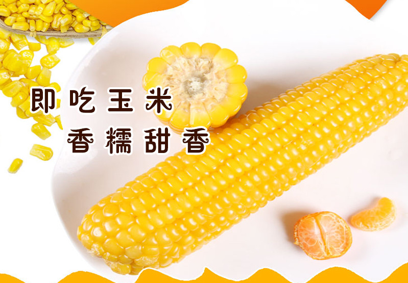 【邮选七台河直营】东北老勃 鲜食玉米 5穗/份  全国包邮【新、青、藏除外】