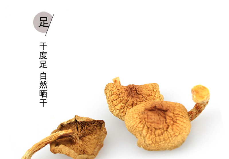 【邮选七台河直营】木耳之家柞参滑子菇250g/袋