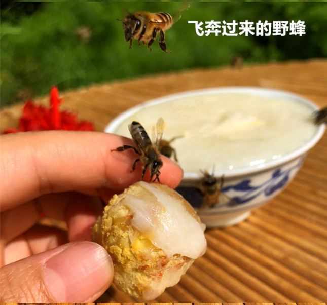 【邮选七台河直营】力之蜂 椴树蜂蜜1kg/瓶