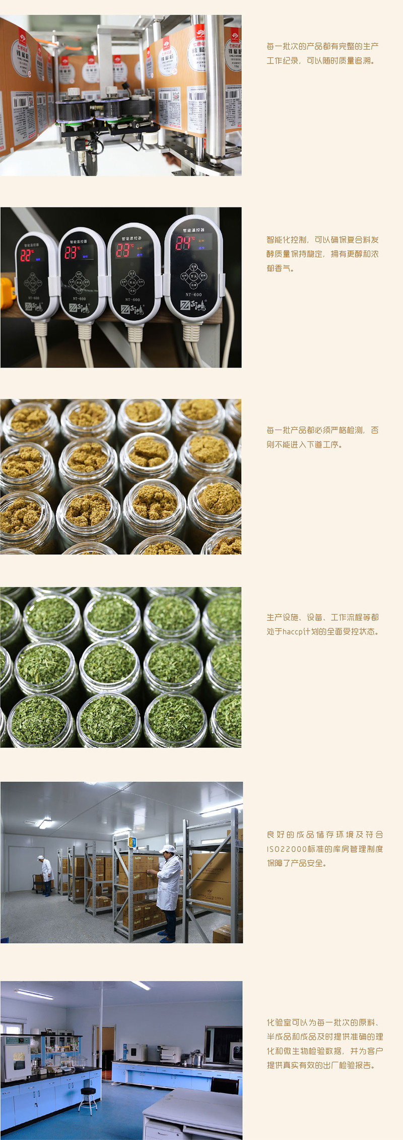 七色花语 洋葱粒 中西餐烧烤烘焙调味品 香辛调味料 烧烤腌撒料