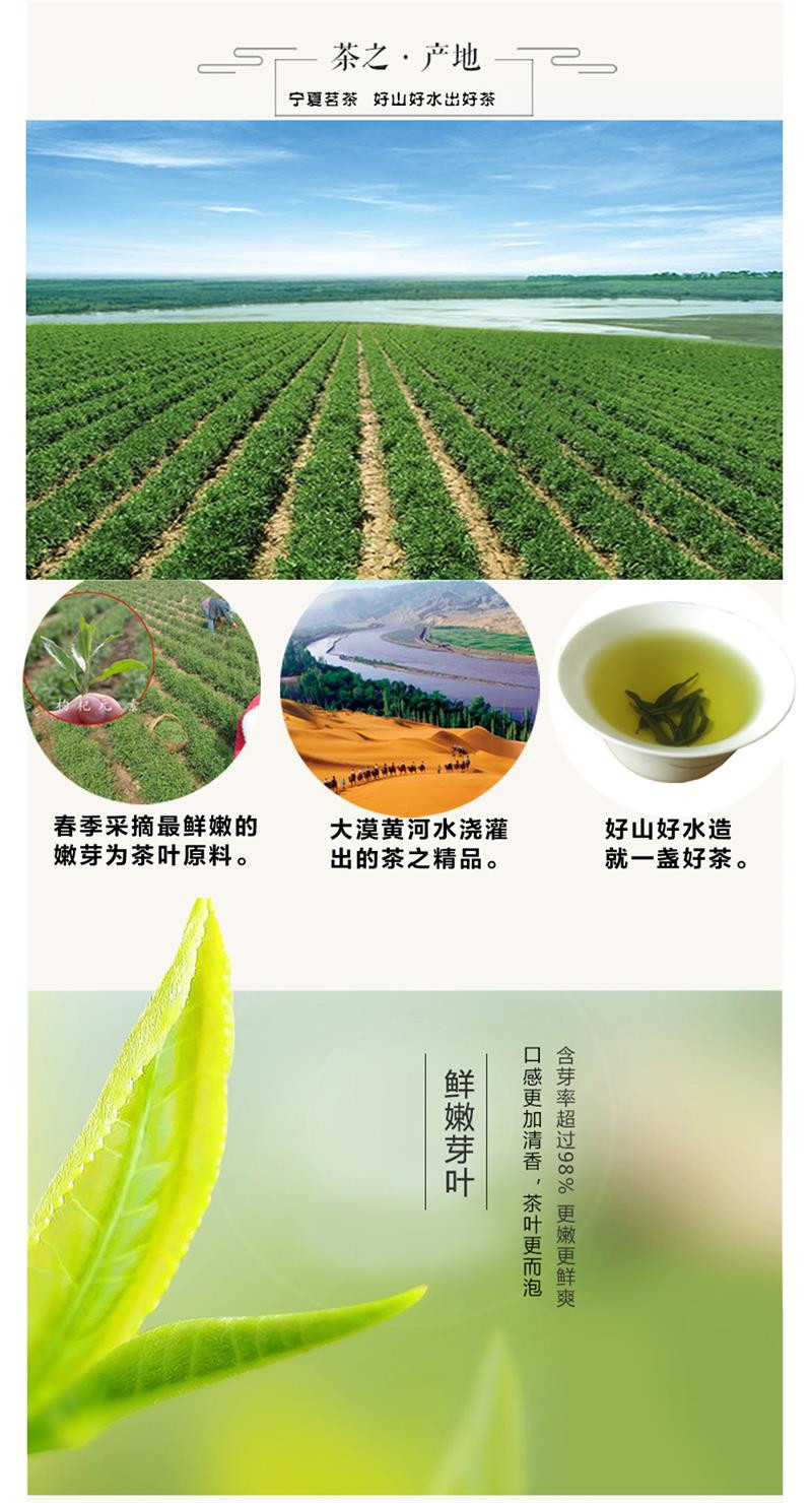 南长滩 宁夏无果枸杞芽茶芽尖春茶嫩茶60克