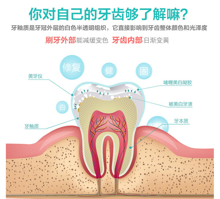 【邮乐新余馆】爱雅速效美牙护理仪 套装