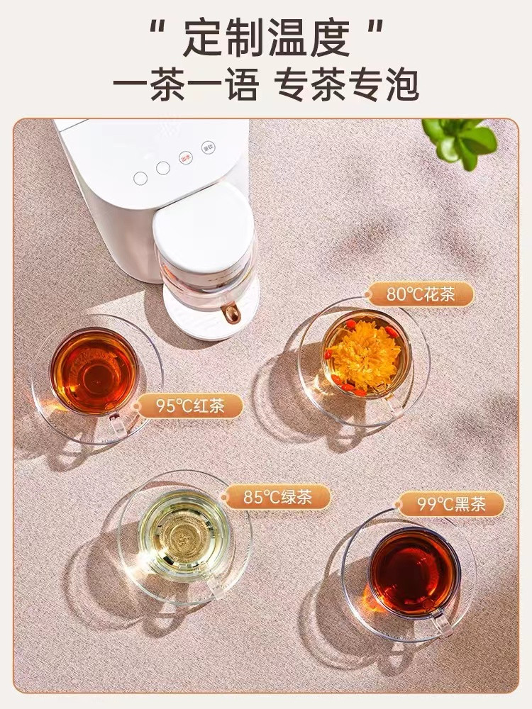 卓朗 即热式养生壶茶饮机多功能泡茶机TD01