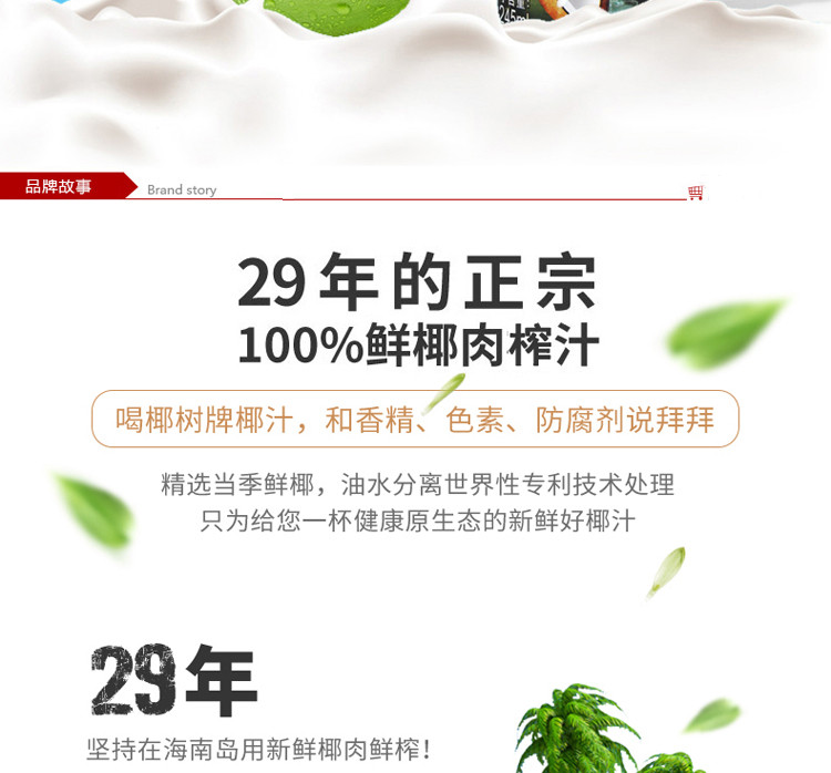 灵川仓椰汁正宗椰树牌椰子汁饮料 245ml*24罐 植物蛋白椰奶海南特产