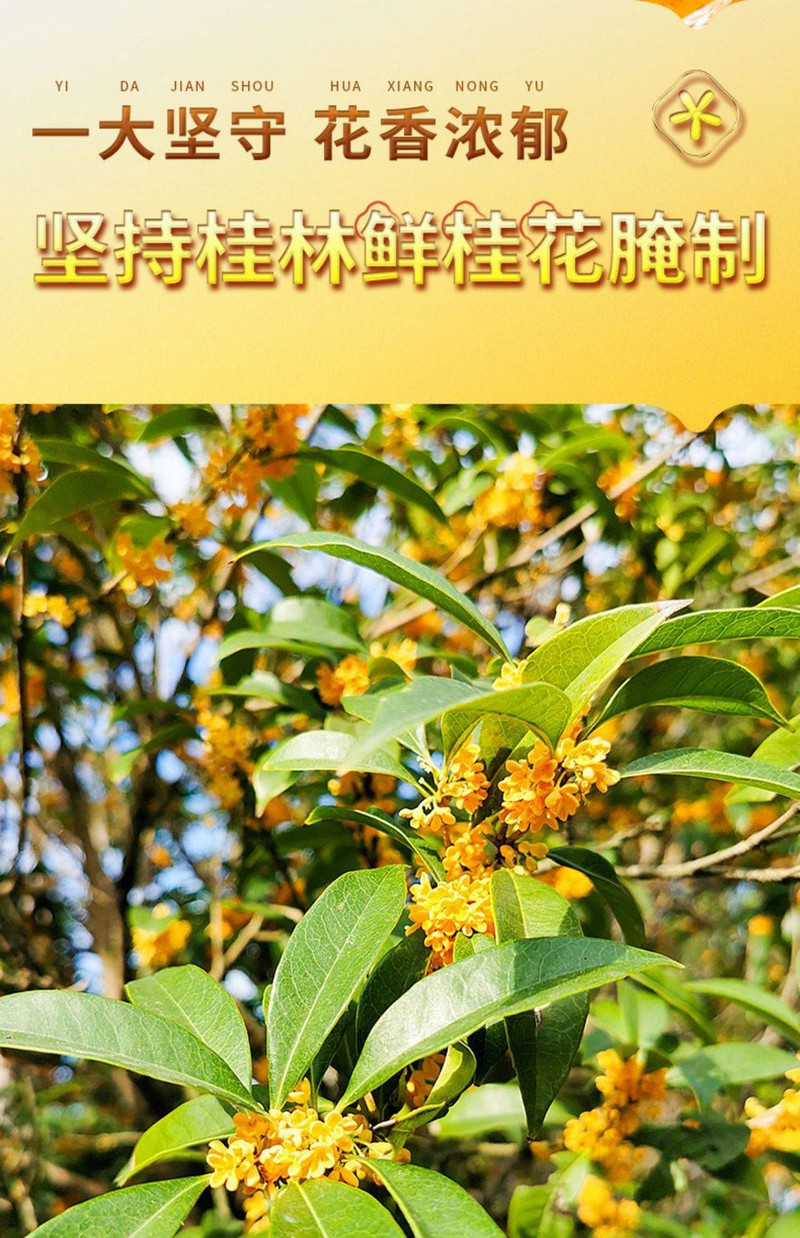 桂城荣记 广西桂花蜜挤挤酱酱糖桂花酱甜品汤圆烘焙冰粉马蹄糕配料