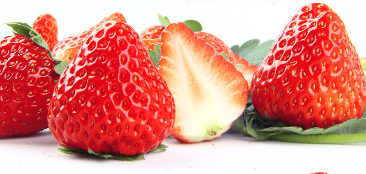 【预售】梨树特产 新鲜现摘草莓±2斤 包邮 仅限四平地区（梨树 发货）