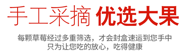 【预售】梨树特产 新鲜现摘草莓±2斤 包邮 仅限四平地区（梨树 发货）